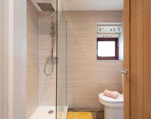 ポルツェスにあるBrooksideのトイレとガラスのシャワー付きのバスルーム