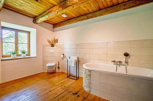 a bathroom with a tub and a toilet and a window at Living in the old granary in Ermsleben