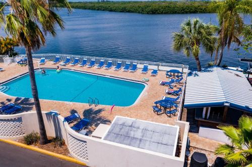 an overhead view of a swimming pool with chairs and water at TAMPA BAY, BEACH step away, WIFI, FREE PARKING,POOLS, JACUZZI in Ruskin