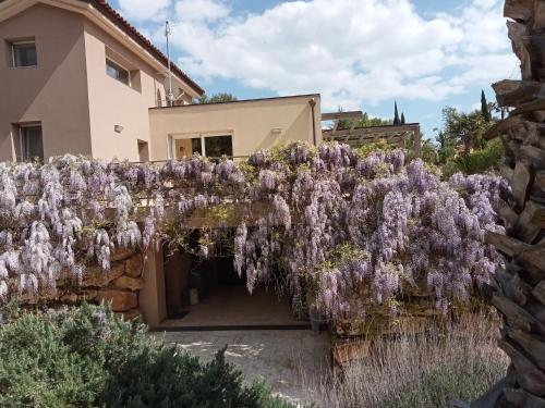 a wisteria vine hanging over a house at Folco Studio Apartment in Piazza Armerina