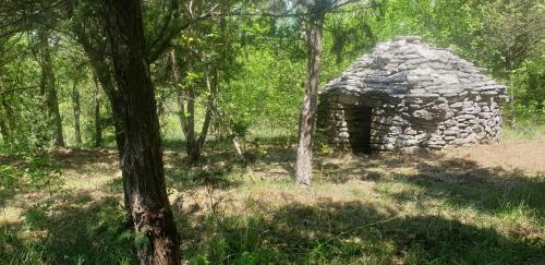 un antiguo edificio de piedra en medio de un bosque en Villa Valeria, en Divšići