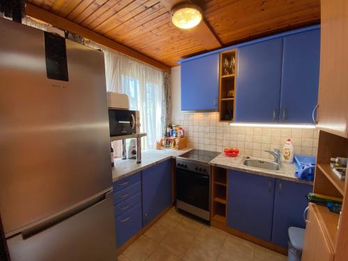 uma cozinha com armários azuis e um frigorífico de aço inoxidável em Pelso Vendégház em Balatonmáriafürdő