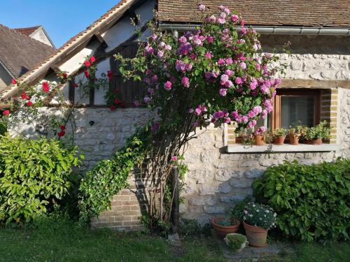 Gallery image of Forest Farm in Bois-Jérôme-Saint-Ouen