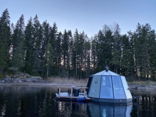 Foto dalla galleria di Yggdrasil Igloo Värmland a Töcksfors
