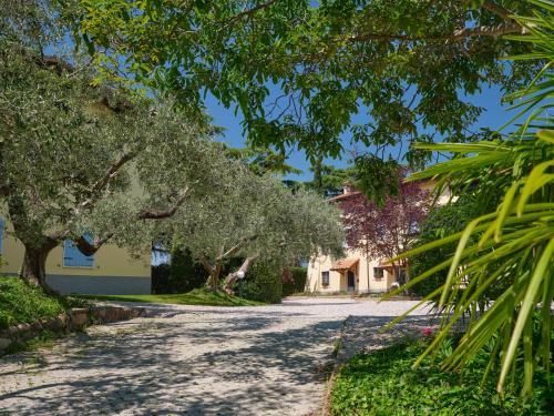 Cason degli Ulivi – Photos 4