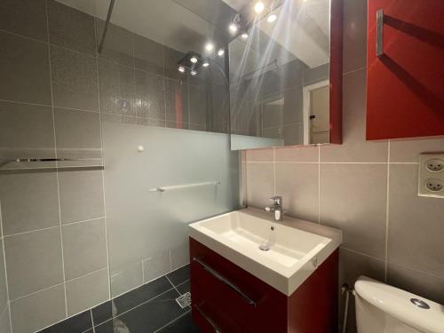 une salle de bain avec un lavabo et un miroir et des toilettes dans l'établissement Ours Blanc 11 - Studio 4 pers belle vue montagnes et pistes, à La Clusaz