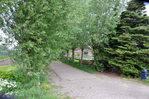 a path with trees and a bench in a park at B&B Kelpiebrink in Baarle-Nassau