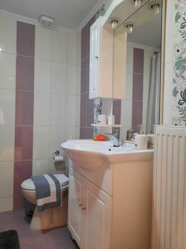 A bathroom at Pavlos Apartment