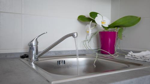 a kitchen sink with a vase with a plant in it at Apartmány a Studia Zámecký park in Litvínov