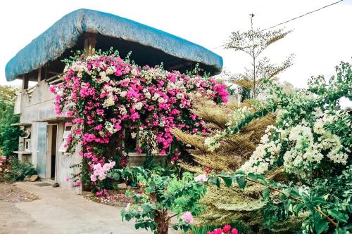 a bunch of flowers on the side of a building at Airport View Hotel in Vigan