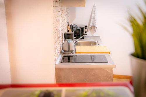 uma cozinha em miniatura com um lavatório e comodidades para preparar café em O Noso Recuncho em Palas de Rei 