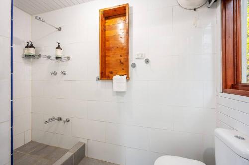 a bathroom with a shower with a toilet and a window at The Riverstone Luxury Eco Home in the Hills in Mudgee