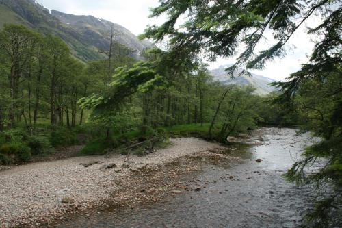 a river with trees and a mountain in the background at Glen Nevis Youth Hostel in Fort William