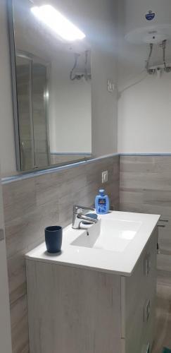 a bathroom with a white sink and a mirror at Residenze Coda Cavallo in San Teodoro
