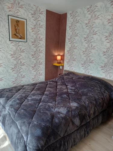 a bedroom with a large bed in a room at Passion in Châteauvieux