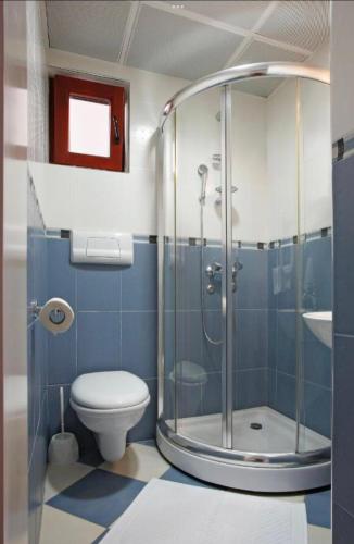 a bathroom with a shower and a toilet at Vidikovac Budva in Budva