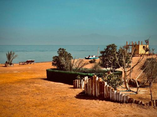 a beach with a fence and the ocean at Lala Land Camp in Nuweiba