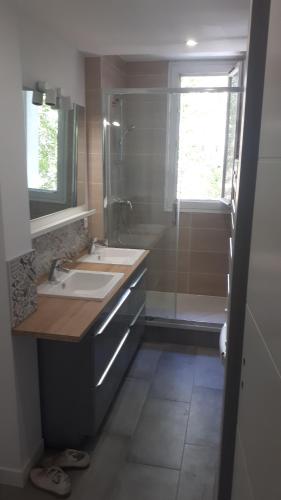 La salle de bains est pourvue d'un lavabo, d'une douche et d'un miroir. dans l'établissement Le Mangin - Rent4night Grenoble, à Grenoble