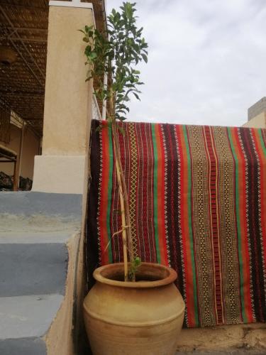 a pot with a plant in it next to a blanket at Hostel Laksour in Marrakech