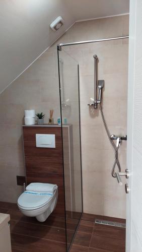 a bathroom with a glass shower with a toilet at Ctrl Alt Del Apartment S76 in Kopaonik