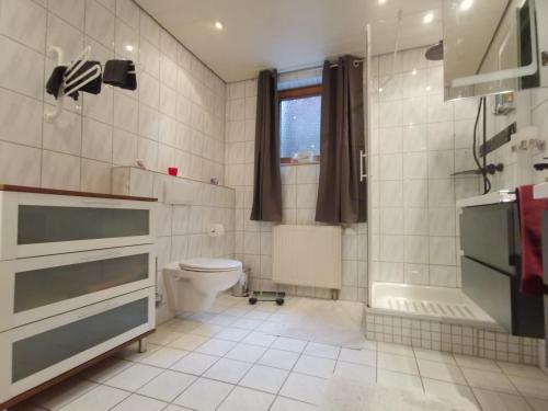 a bathroom with a toilet and a shower and a sink at Ferienwohnung Sabine in Hornberg