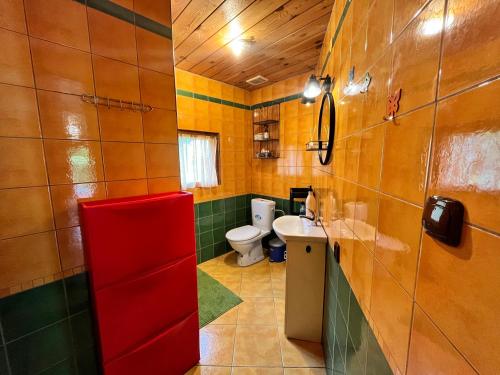 łazienka z toaletą i umywalką w obiekcie Świętokrzyska Chata Biegacza w mieście Nowa Słupia