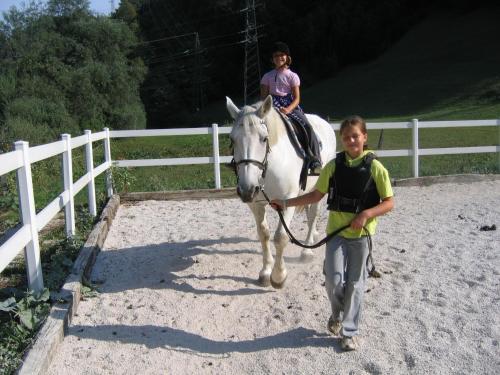 een jonge jongen die een meisje op een wit paard leidt bij Apartment Sever in Idrija