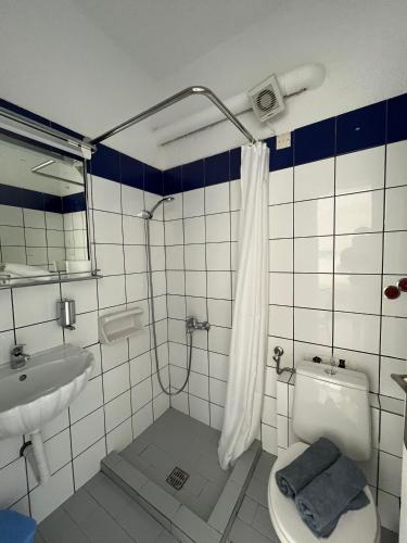 a bathroom with a shower and a toilet and a sink at Olympic Villas in Oia