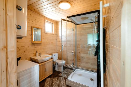 a bathroom with a toilet and a sink and a shower at Cabana Dominic in Mărişel