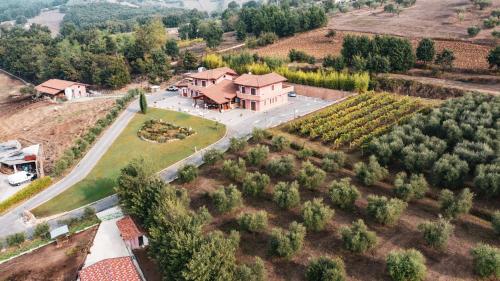 切普拉諾的住宿－Agriturismo ciociaro " il colle " HOTEL RISTORANTE，享有葡萄园庄园的空中景致