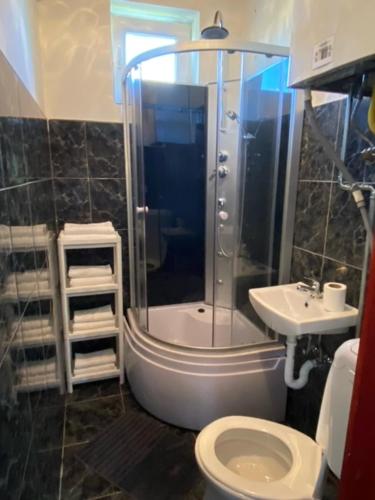 a bathroom with a shower and a toilet and a sink at Magic Vendégház in Abádszalók