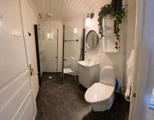 uma casa de banho com um WC e um lavatório em Spjutsbygds Gårds Bed and Breakfast em Rödeby