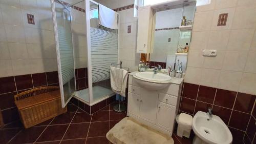 フォニョードにあるApartment in Fonyod/Balaton 18580のバスルーム(シンク、シャワー、トイレ付)