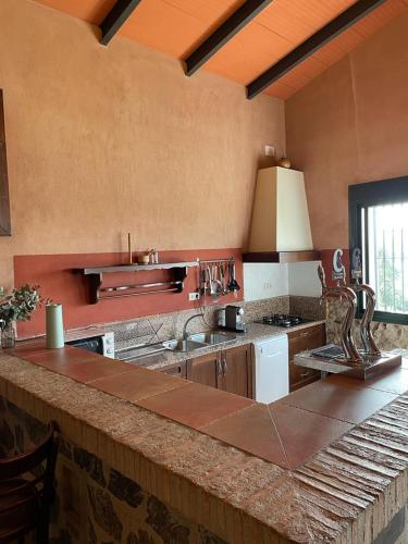 a kitchen with a sink and a counter top at FINCA LAS DEHESILLAS in Monesterio