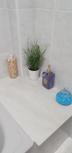 a white counter with a plant and a blue box at JÁNDALA in Unquera