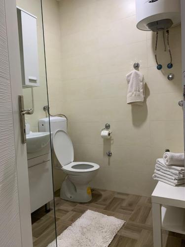 bagno con servizi igienici, lavandino e specchio di M-Home Mostar a Mostar