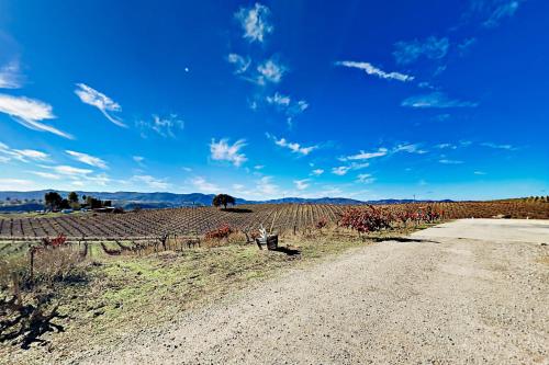 a dirt road in a vineyard with a blue sky at Nonpariel Escape in Paso Robles