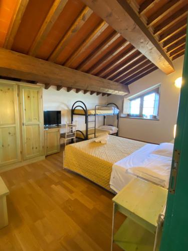 a bedroom with two bunk beds in a room at Tenuta La Lupa in Castellina Marittima