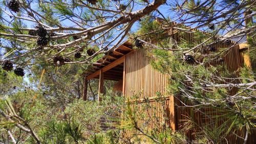 a building with a fence in the middle of trees at Villa Occitana in Calvisson