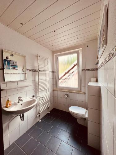 a bathroom with a sink and a toilet and a window at Platell Ferienhäuser Harz Lerbach in Lerbach