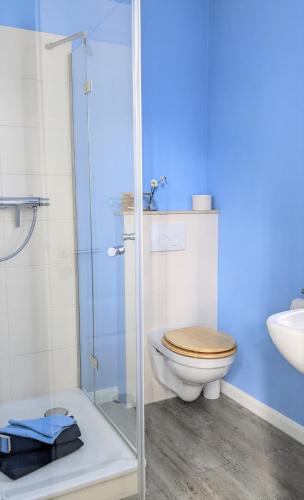 a bathroom with a toilet and a glass shower at Goethes liebste Betten - stilvolle Ferienwohnungen im historischen Fachwerkhaus in Wernigerode - Parkplatz, Smart-TV, W-Lan in Wernigerode