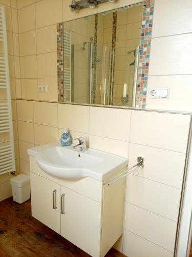 a bathroom with a sink and a mirror at Ferienweingut Gansen / Hochgenuss 1 in Ernst