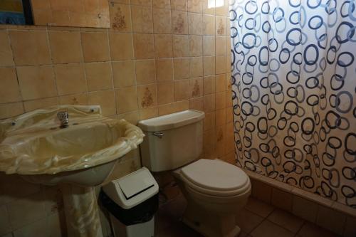 a bathroom with a sink and a toilet and a shower curtain at Big Mountain Hostel in Huaraz