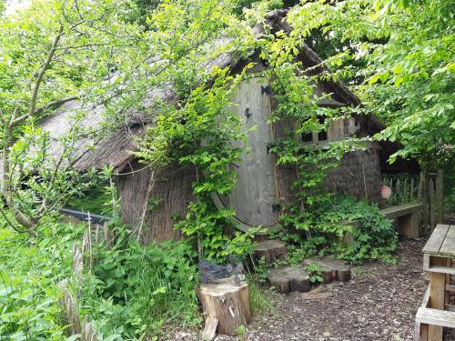 an old building with vines growing on it at Cabane d'Augustin in Saint-Augustin