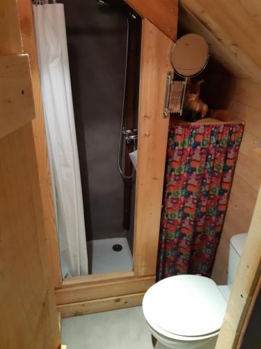 La salle de bains est pourvue d'une douche et de toilettes. dans l'établissement Cabane d'Augustin, à Saint-Augustin