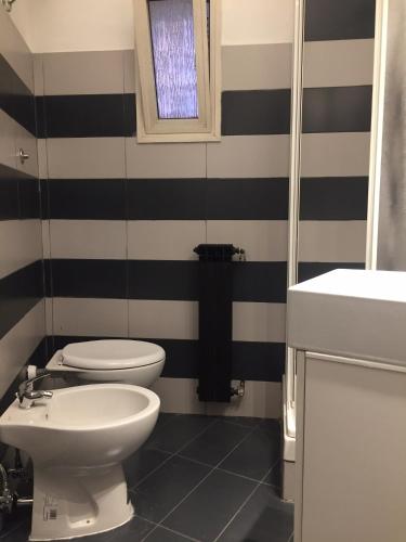 Suite Falisci