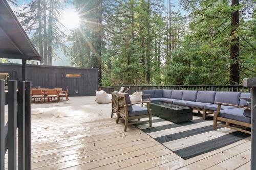 Redwood Dreams – Photos 2