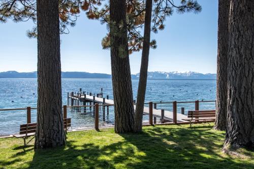 Cabin Oasis – Photos 4