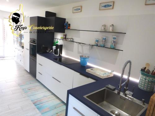 een keuken met een wastafel en een aanrecht bij Villa Bleu de Mer - Village Balnéaire San Cyprianu in Lecci