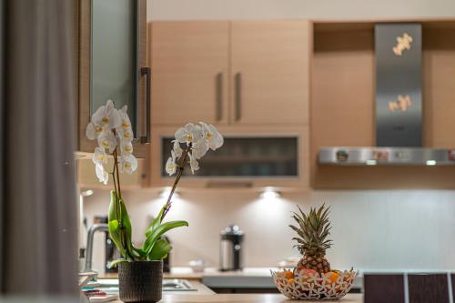 a kitchen with a counter with flowers in a bowl at Bay View House in Petalidi
